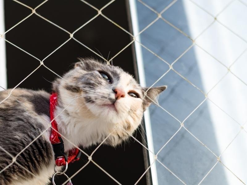 Telas de segurança para cobertura em Balneário Camboriú