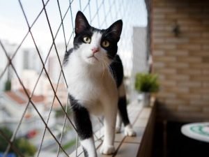 Telas mosquiteiras em Balneário Camboriú
