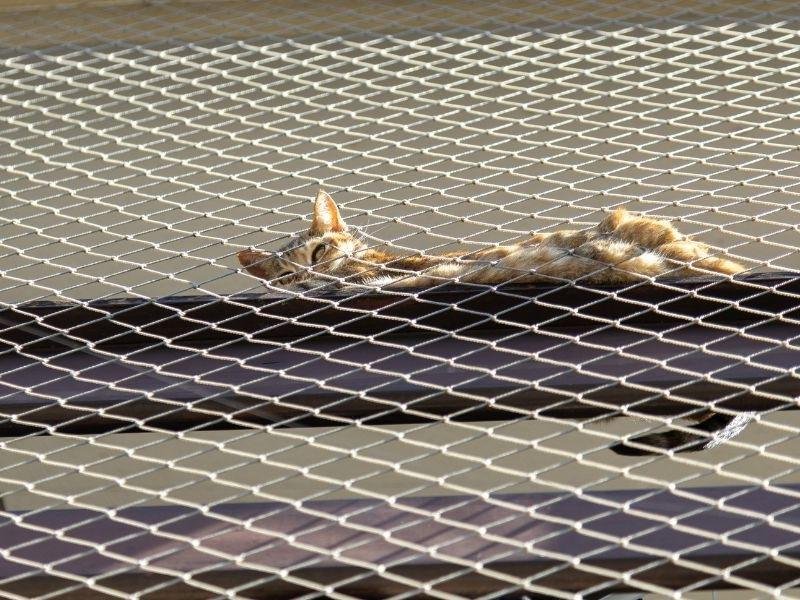 Telas de proteção para piscinas em Balneário Camboriú