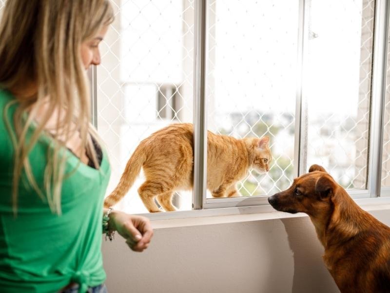 Rede de Proteção Balneário Camboriú