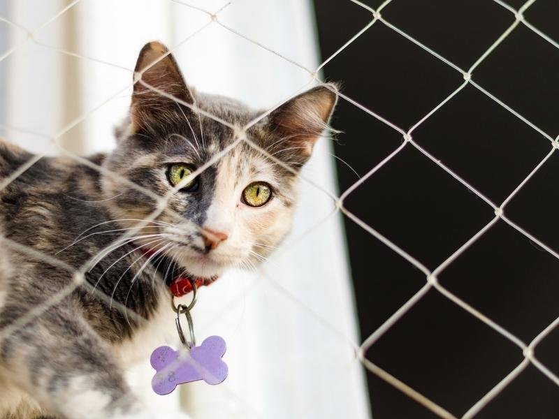 Redes de Proteção Balneário Camboriú