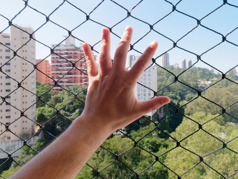 Rede de Proteção para Gatos em Balneário Camboriú